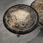 Luxury Nesting Coffee Tables with High-Gloss Wood Veneer and Decorative Metal Accents